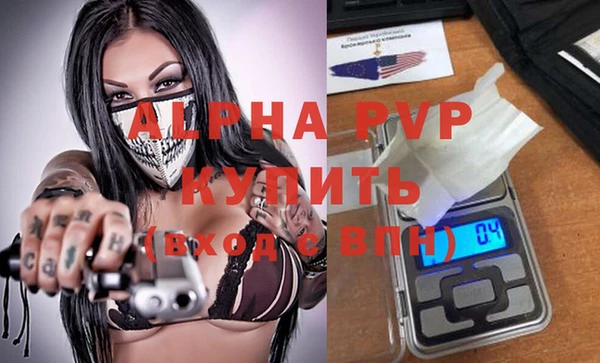шишки Алексин