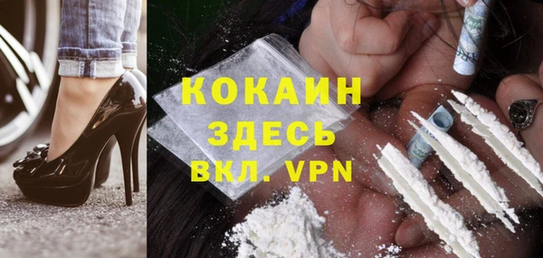 шишки Алексин