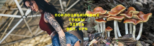 бошки Новозыбков