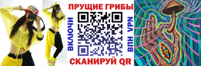 Галлюциногенные грибы GOLDEN TEACHER  даркнет сайт  Горбатов 